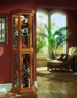 Picture of Pulaski 3-Panel Display Case